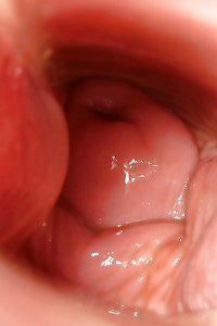 Bilder meiner Fotze von innen mit und ohne Sperma